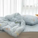 SH The little Prince 印花厚款四季被